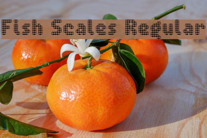 Fish Scales Regular Font examples