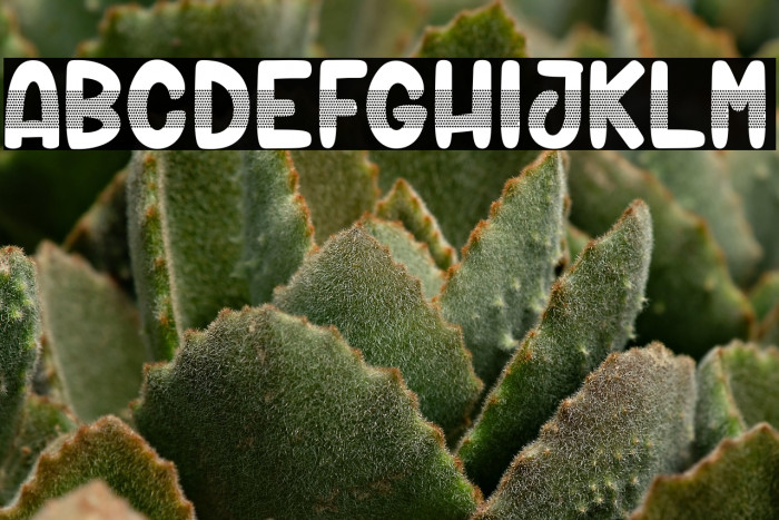 Fish Sticks_PersonalUseOnly Example 1