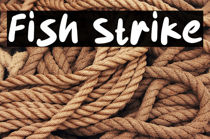 Fish Strike Example 1