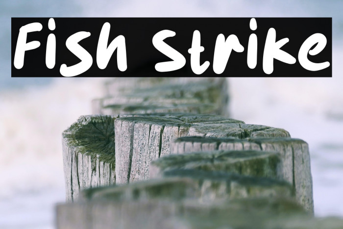 Fish Strike Example 3