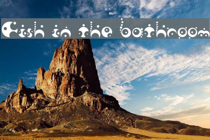 Fish in the bathroom Font examples