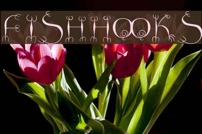 FishHooks फ़ॉन्ट examples
