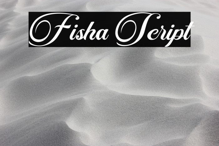 Fisha Script Example 1