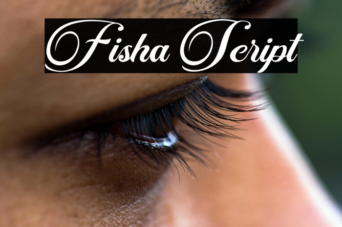 Fisha Script Example 2