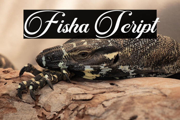 Fisha Script Example 3