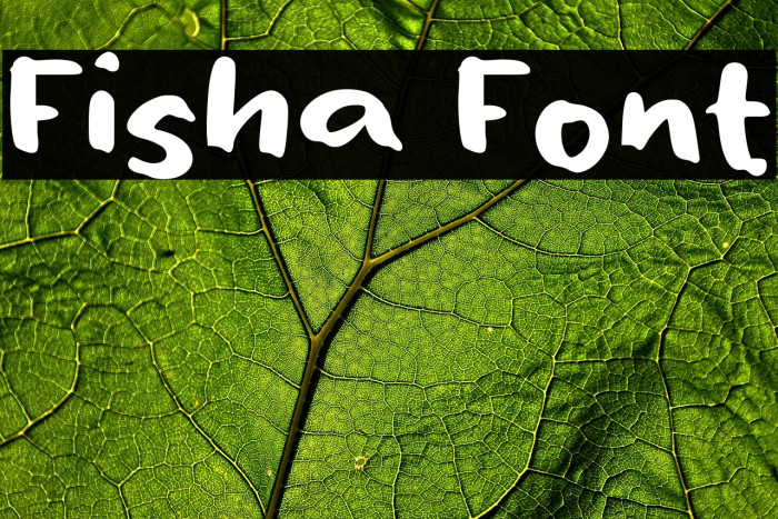 Fisha Example 2