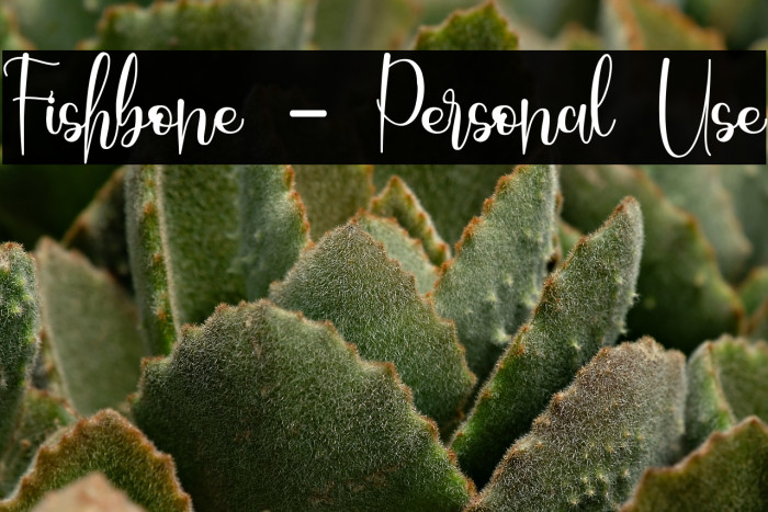 Fishbone - Personal Use Example 3