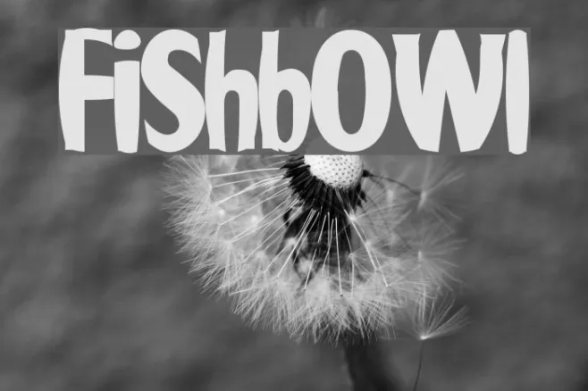 Fishbowl Example 2