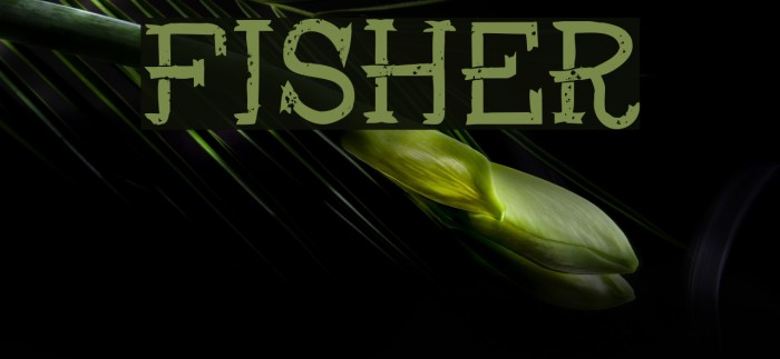 Fisher Шрифта examples