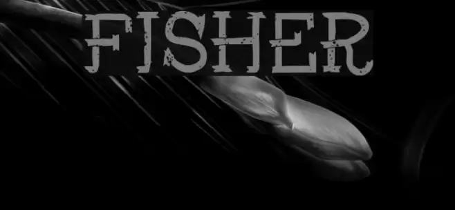 Fisher Fuentes examples