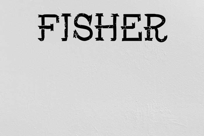 Fisher Шрифта examples