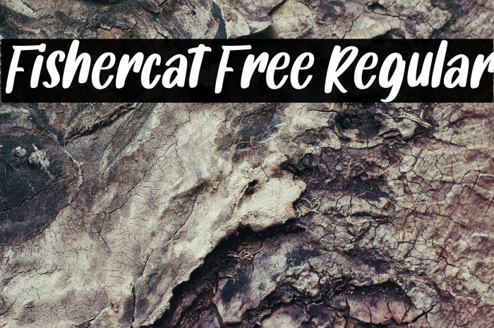 Fishercat Free Regular Example 1