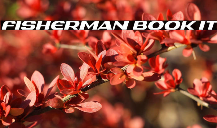 Fisherman Book IT Example 3