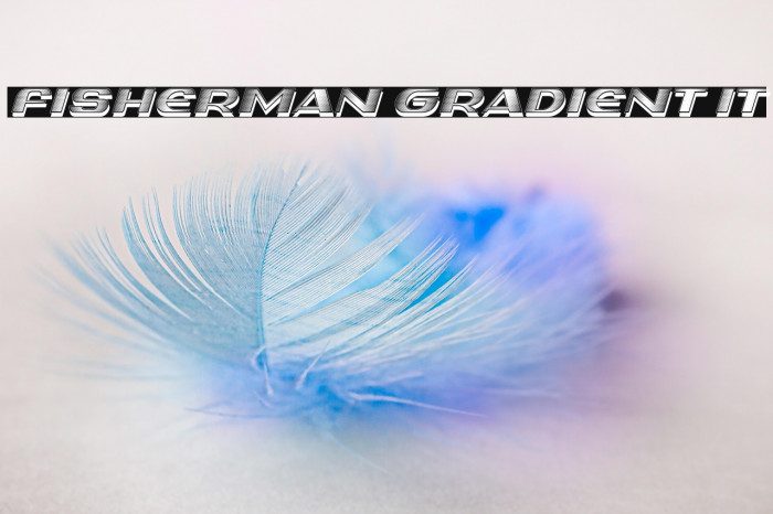 Fisherman Gradient IT Example 3