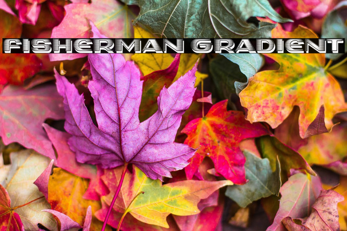 Fisherman Gradient Example 2