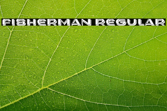 Fisherman Regular Example 1