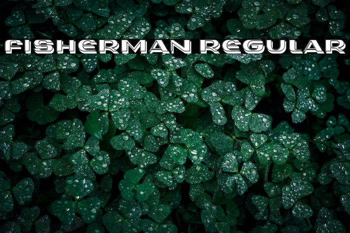 Fisherman Regular Example 3