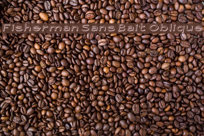 Fisherman Sans Bait Oblique Font examples