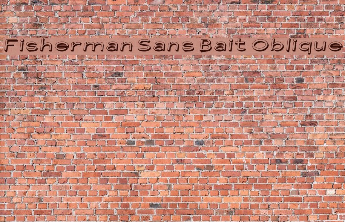 Fisherman Sans Bait Oblique Font examples