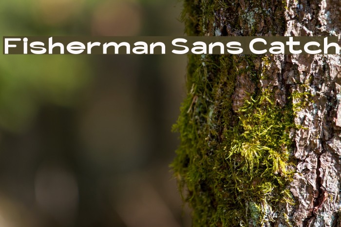 Fisherman Sans Catch Font examples