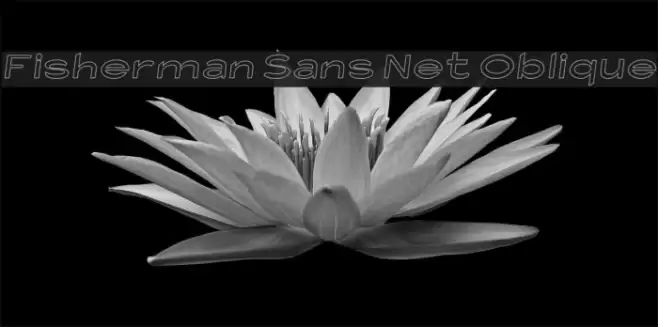 Fisherman Sans Net Oblique Font examples