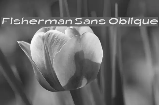 Fisherman Sans Oblique Font examples