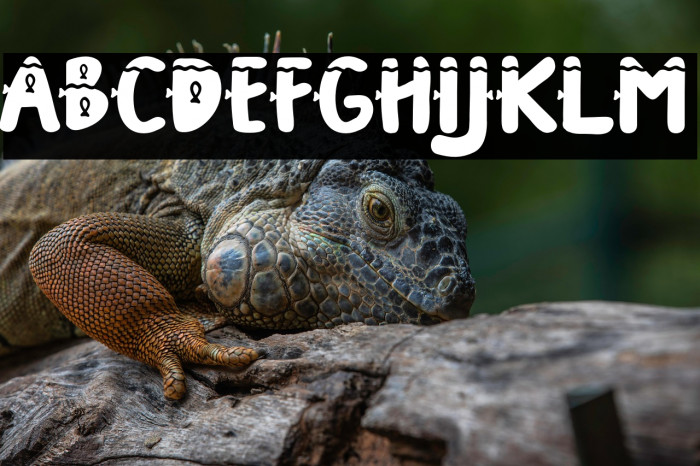 FishermanFREE Example 1