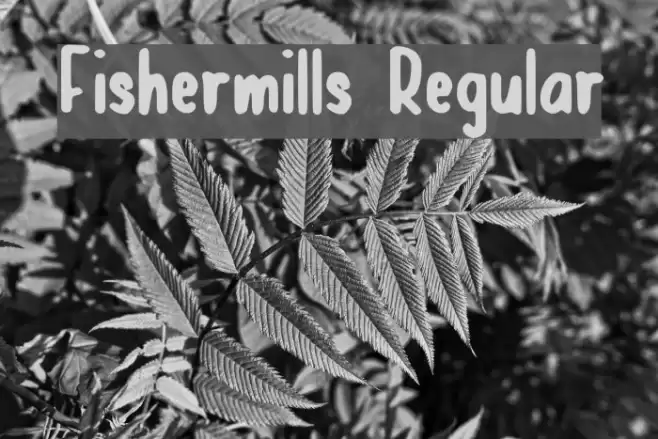 Fishermills Regular Font examples