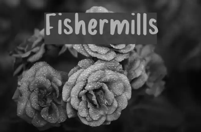 Fishermills Font examples
