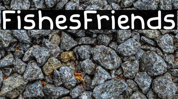 FishesFriends Example 3