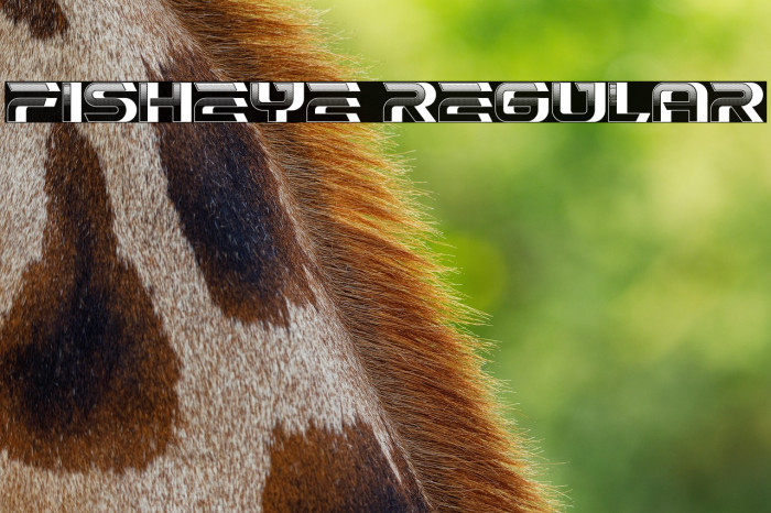 Fisheye Regular Example 1