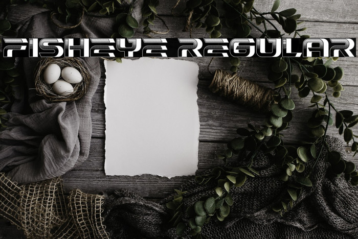 Fisheye Regular Example 3