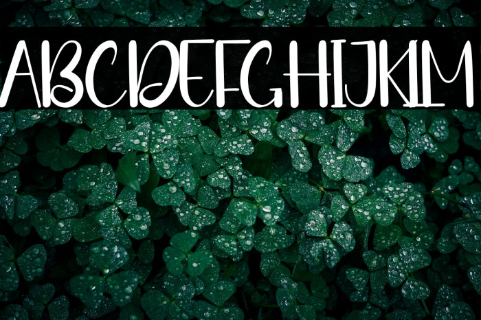 Fishing Beach Example 3