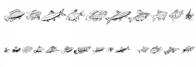 Fishing Шрифта ДРУГИЕ символов