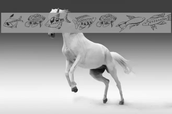 Fishing Шрифта examples