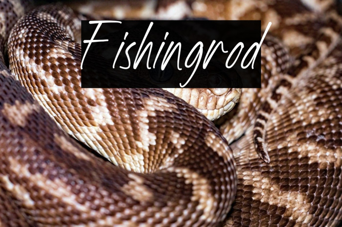 Fishingrod Example 1