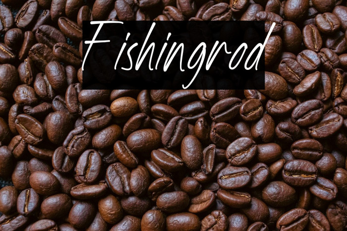 Fishingrod Example 2