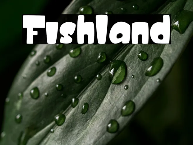 Fishland Example 3