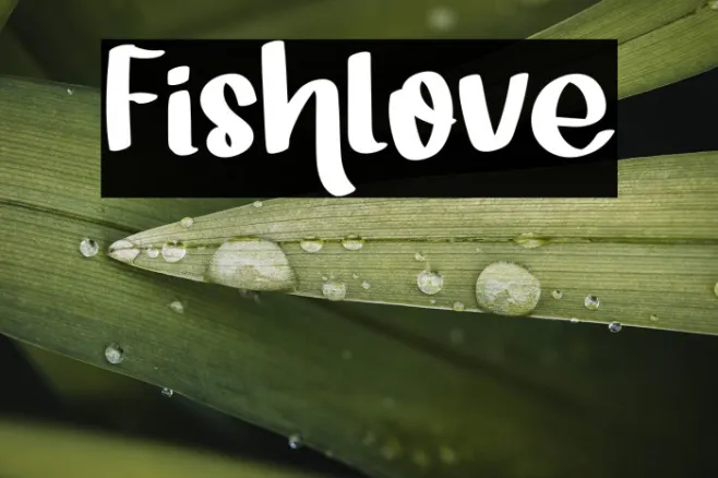 Fishlove Example 2
