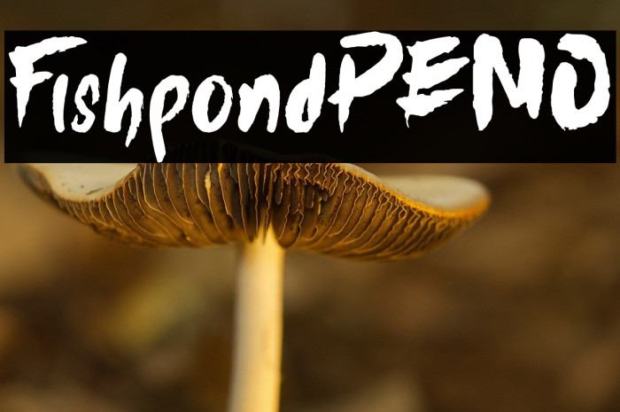 FishpondDEMO Example 1