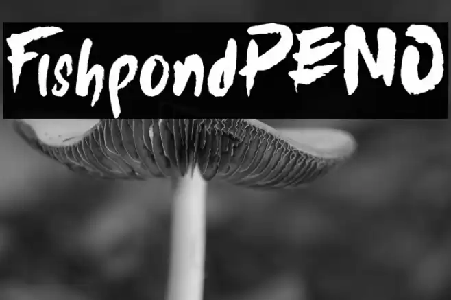 FishpondDEMO Font examples