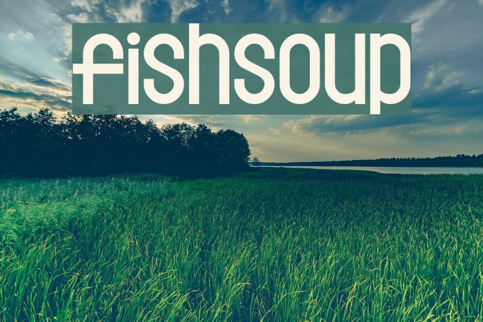 Fishsoup Font examples