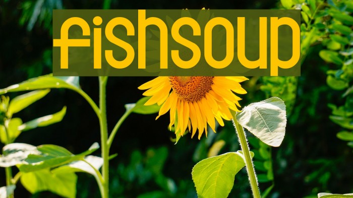 Fishsoup Font examples