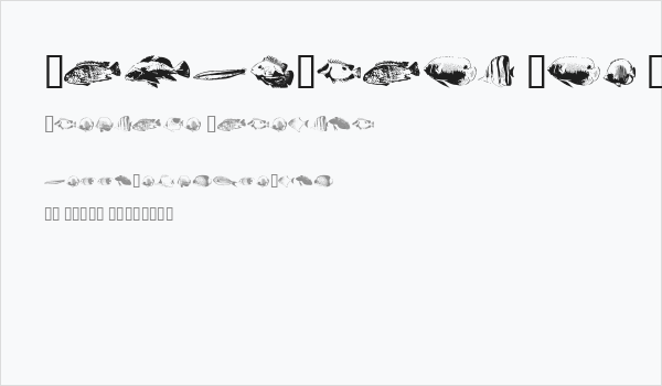 FishyPrint One AOE Business Card