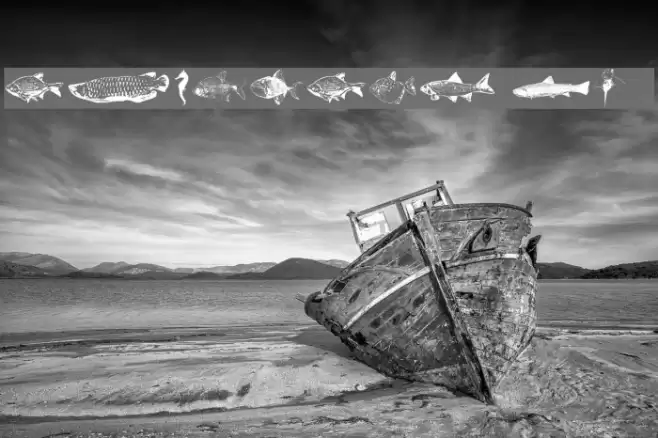 FishyPrint Two AOE  خط examples