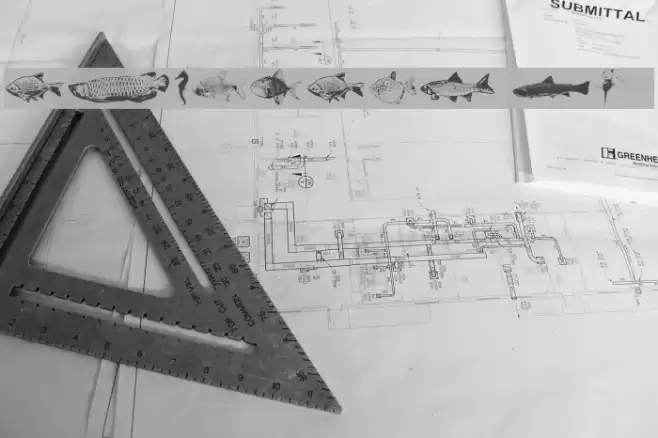 FishyPrint Two AOE  خط examples