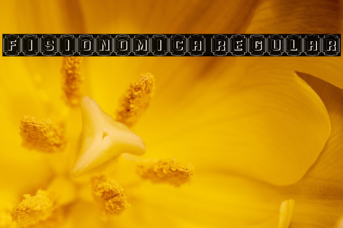 Fisionomica Regular Example 1