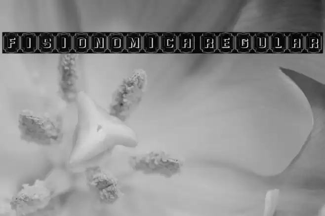 Fisionomica Regular Font examples