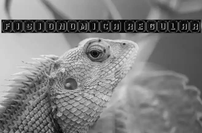 Fisionomica Regular Font examples