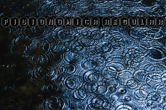 Fisionomica Regular Example 3